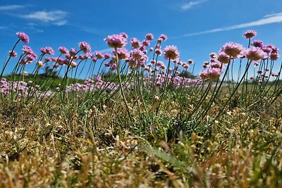 Ruhiger Ruckzug in Klitmoller -- By Traum...