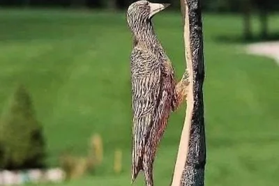 2 stukken voor 4 personen