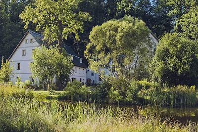 Maison minimaliste près de la forêt