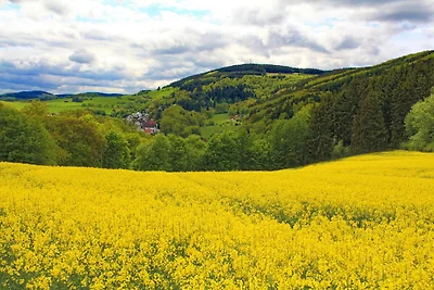 Charmantes Ferienhaus nähe Skigebiet im...