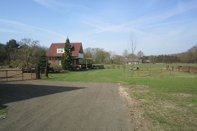 Schönes Cottage am See in Well