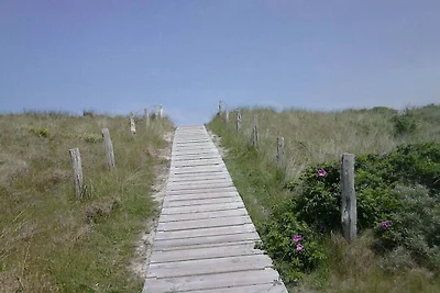 Lagune am Wattenmeer auf Wangerooge