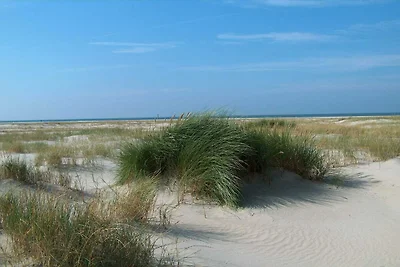 Modernes Heim beim Vadehavet -- By Traum...