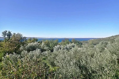 Uw perfecte vakantie aan de Adriatische Zee