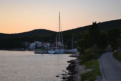 Apartment in Molat with sea view
