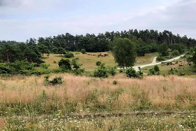 6 persoons vakantie huis in Knebel-By Traum