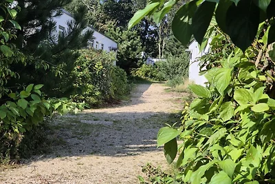 Kuća za odmor Dopust za oporavak Sint Maarten