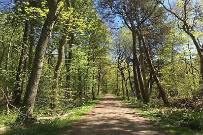8 Personen Ferienhaus in Frederiksværk-By...