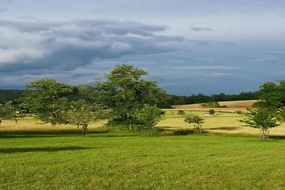 Chalet in Reinskopf met Haard & Balkon