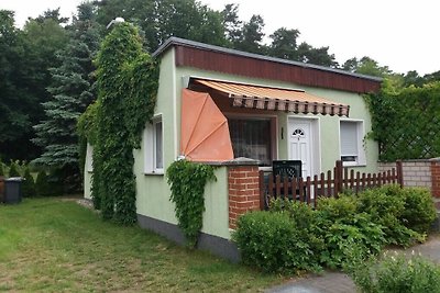 Vakantiehuis aan de rand van het bos