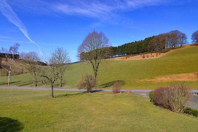 Gezellig appartement in Sauerland met...