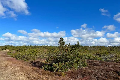 14 Personen Ferienhaus in Ulfborg