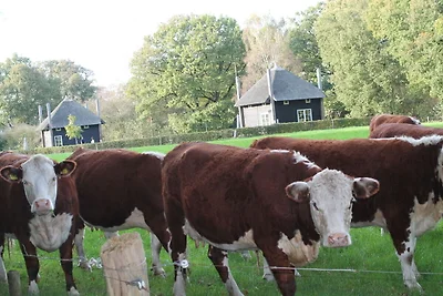 Ferienhaus in Notter f�r 5 Personen