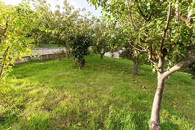 Un Esperienza unica a contatto con la natura