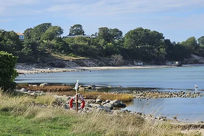 5 Sterne Ferienhaus in YSTAD