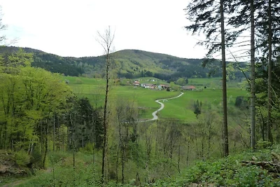 Ferienhaus mit 2 Schlafzimmer