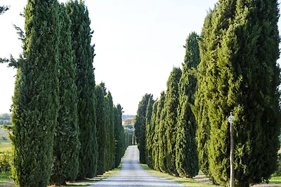 Poggio al Casone