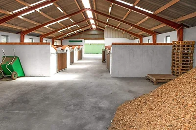4 Personen Ferienhaus in Læsø-By Traum