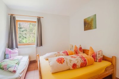 Leuk appartement in Mayrhofen met een tuin