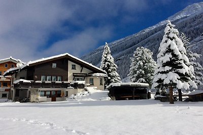 Chalet mit 2 Wohnungen von Wiesen umgeben.