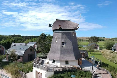 Holiday Mill in the Dunes