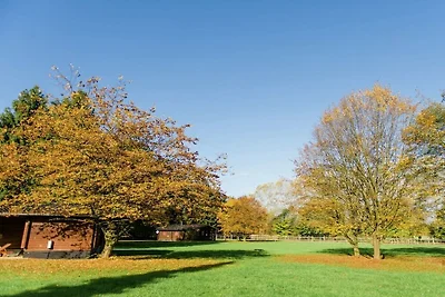 Ferienhaus auf einem Pferdehof in Heide