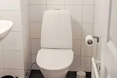 10 persone case ad SÄLEN