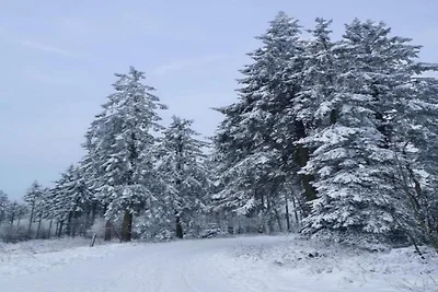 Wohnung in der Nähe des Skigebietes in...