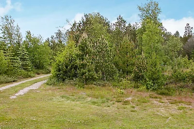 8 persone case ad Ålbæk-By Traum