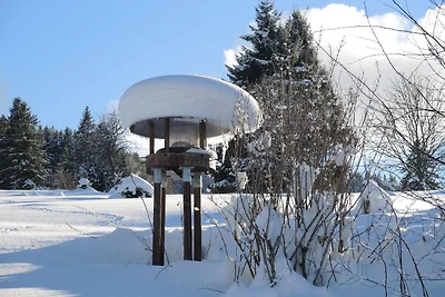 Wohnung in Bernau im Schwarzwald mit Talblick