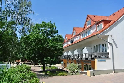 Bernsteinsee Hotel und Ferien Standard-Suite