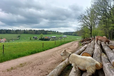Ferienwohnung mit 1 Schlafzimmer