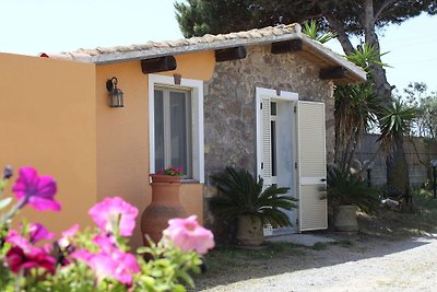 Gemütliches Ferienhaus in Calasetta (Sardinie...