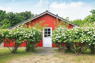 Charmantes Ferienhaus in Vestervig mit Sauna