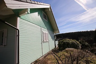 Ferienhaus , Tanne.