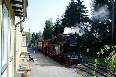 Doppelhaushälfte in Hasselfelde