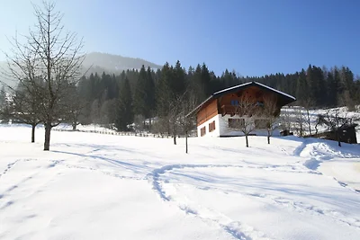 Apartment in Hüttau nahe Skigebiet