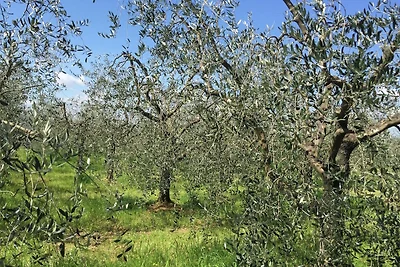 Villa in Pian di Scò mit Garten