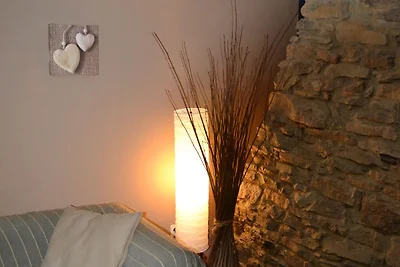 Verzorgde gîte met een relaxruimte, op korte ...
