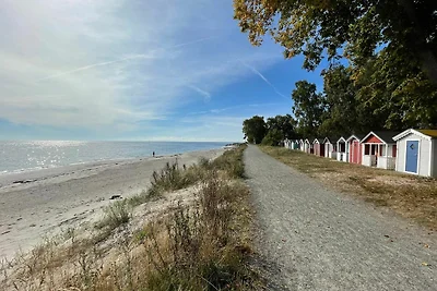 6 Personen Ferienhaus in BLENTARP-By Traum