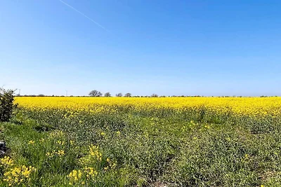Vakantiehuis Ontspannende vakantie Borgholm