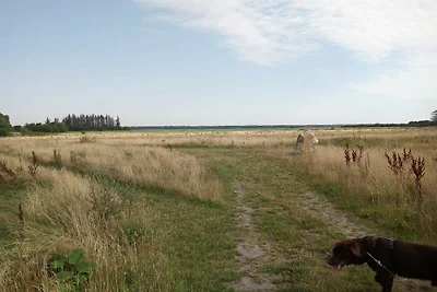 6 Personen Ferienhaus in Sæby-By Traum
