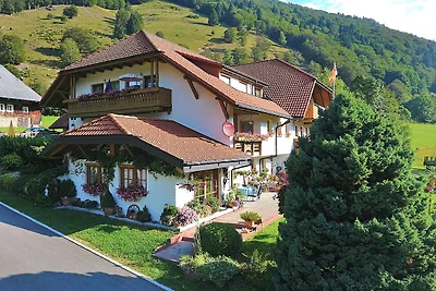 Wohnung in Brandenberg mit Terrasse