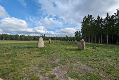 8 persone case ad Fårvang-By Traum