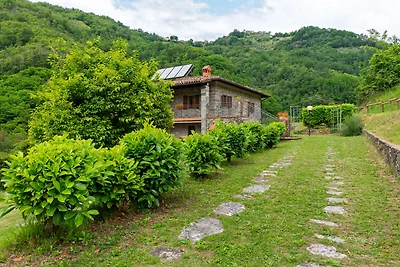 Malerische Wohnung in Fosciandora mit Pool