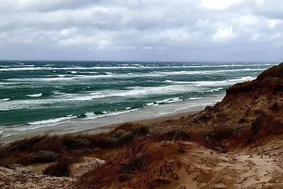 5 Personen Ferienhaus in Skagen-By Traum