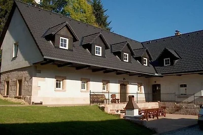 Casa vacanze con piscina privata a Vidochov