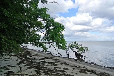 Panoramisch Huisje Toevluchtsoord-By Traum