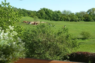 Grünberg on the Jepsen holiday farm
