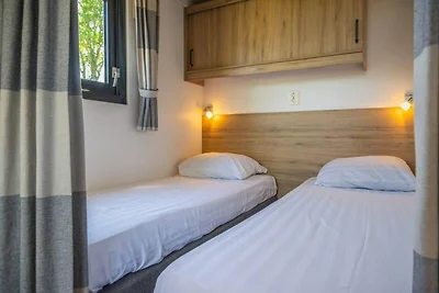 Escapade avec animaux de compagnie en...